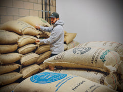 Introducing Our High-Quality Green Coffees