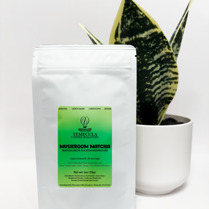 Ceremonial Matcha with Mushrooms